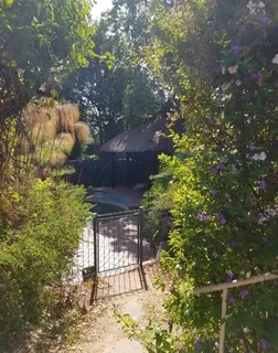 Room to Rent/Sandton Area