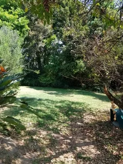 Room to Rent/Sandton Area