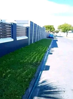 EVERGREEN GRASS FRESH FROM THE FARM