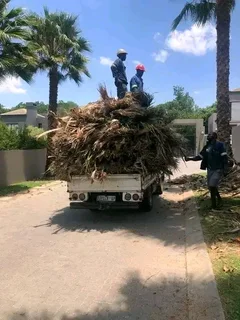 Elijah Trees Services and Garden maintenance