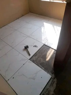 Renovations/ home improvements:-