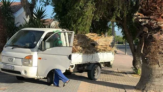 Trees Services and Garden maintenance