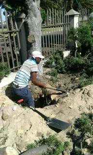 Trees Services and Garden maintenance