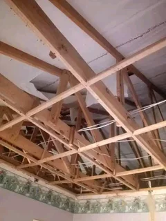 Elijah Roofs and Painting