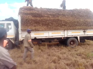 Thatching - Ad posted by Mandla Thatching