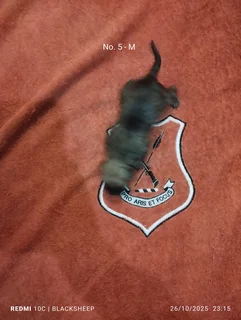 Corgi mix X Jack Russell