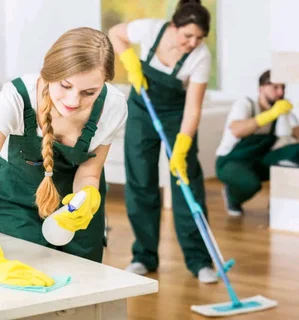 Cleaning Services