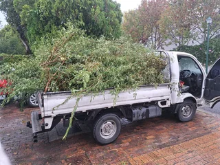 Waste and rubble removal