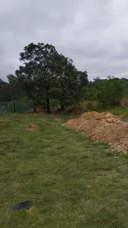 Fast Cutting Grass and Trees