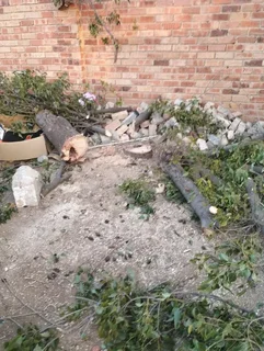 We Cut Trees, Grass and Clean Up