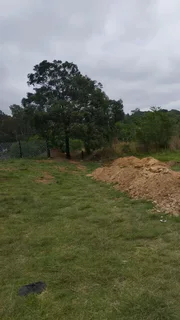 Fast Cutting Grass and Trees