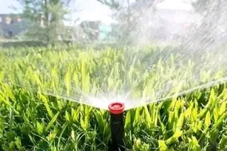 Boreholes, Irrigation sprinkles  and municipal backup system