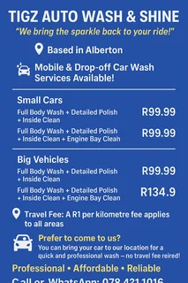 Tigz auto wash and shine