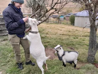 Pet &amp; house sitting