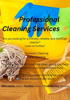 Cleaning Services
