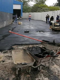 TARRING EXPERT&#39;S