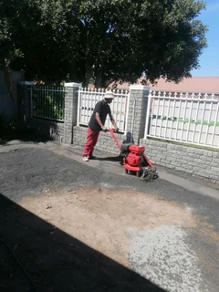 Swiming pool mentainance repair&amp;roof cleaning and landscaping