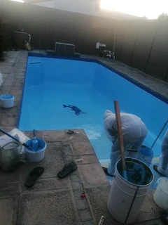Swiming pool mentainance repair&amp;roof cleaning and landscaping