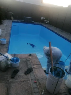 Swiming pool mentainance repair&landscaping