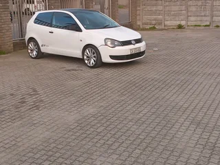 Polo vivo
