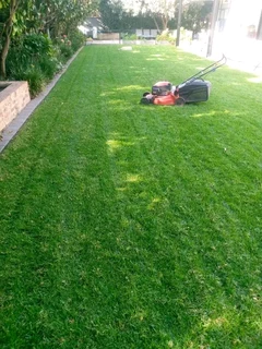 Excellent and professional caretaker/Driver/Gardener Available