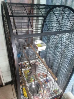 Bird cadge for sale R1.500 eara Bluff cellphone 0673589749