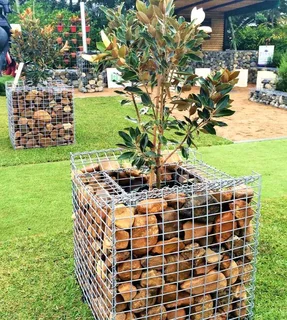 Gabions walls and plants baskets