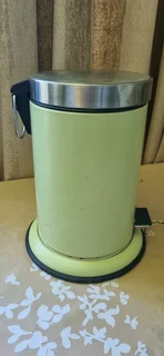 Dust bin with pedal