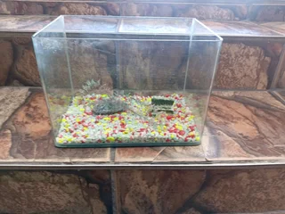 30 Cm Curved Fish Tank (r200)