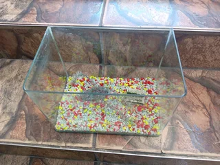 30 CM CURVED FISH TANK (R200)