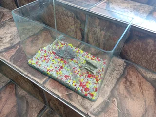 30 CM CURVED FISH TANK (R200)