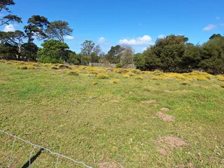 Land / Plot for sale in Kragga Kamma, Theescombe