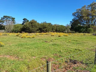 Plot for sale in Kragga Kamma / Theescombe