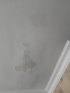 CEILING INSTALL, CEILING REPAIR, DRYWALL AND SKIMMING