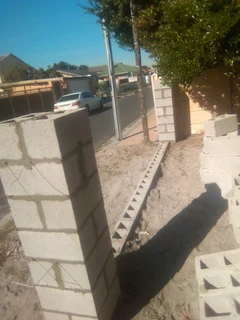 Builder and plasterer urgently looking for job