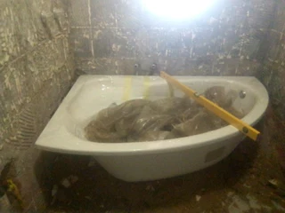 Best construction handyman looking for job