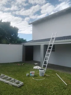 Expert Painters