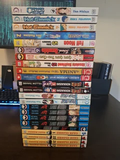 22 mangas