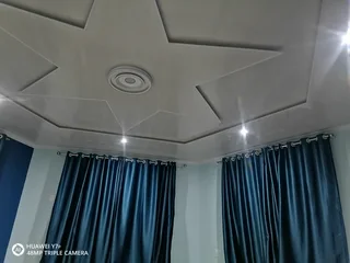 Ceiling board