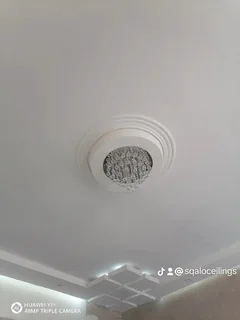 Rhino board Ceilings