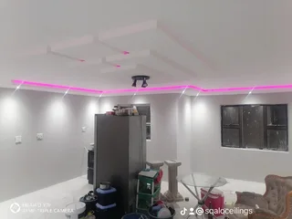 Rhino board Ceilings
