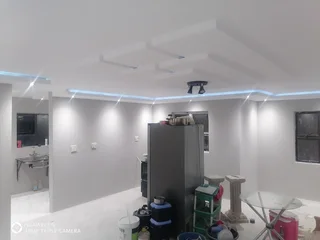 Rhino board Ceilings