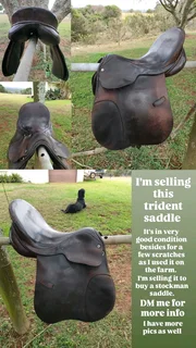 Trident saddle
