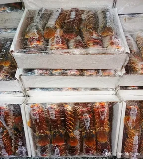 Fresh/freshly frozen Crayfish Tails