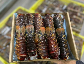 Fresh or freshly frozen Whole Crayfish, Crayfish Tails and Prawns