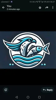 Fresh/freshly frozen Seafood directly from the Factory