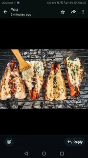 Fresh/freshly frozen Seafood directly from the Factory