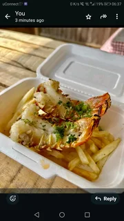 Fresh/freshly frozen Seafood directly from the Factory