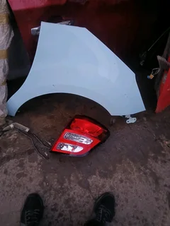 Citrn c3 taillights and fender