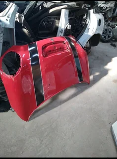 Front bumper and bonnet